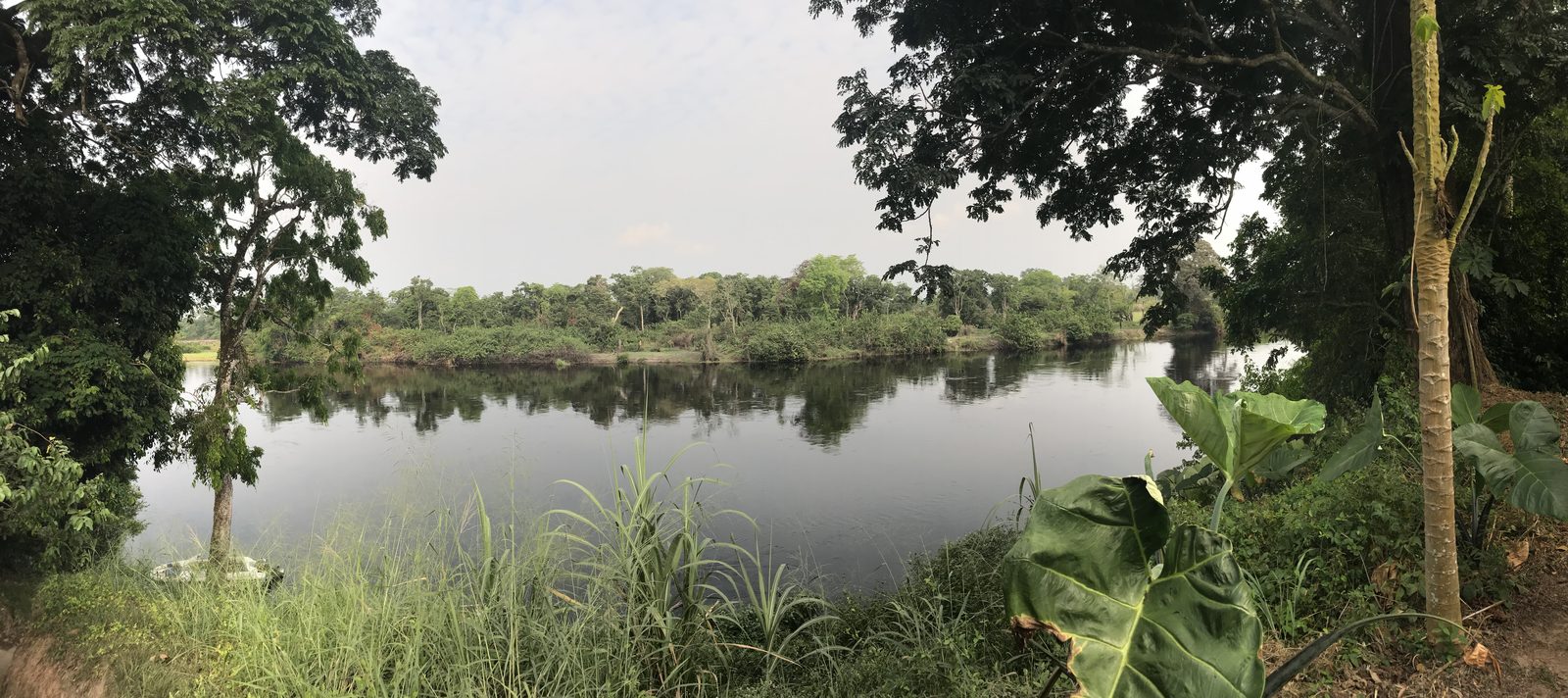 La rivière bordée de forêt, vue depuis la berge, photographie de janvier 2018