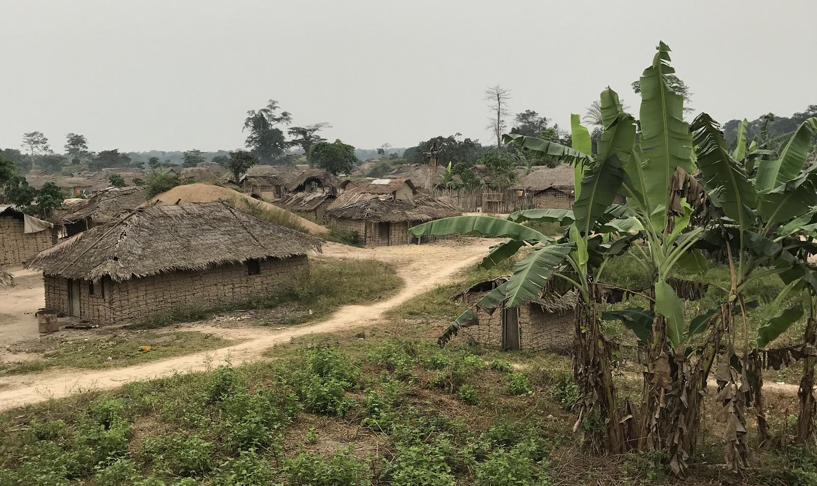 Village de la Likouala : cases aux toits de chaume, piste de terre et bananiers, photographie de janvier 2018